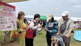 [活動報告]西日本最大級のドッグイベント「わんだふる山口2026」に参加しました